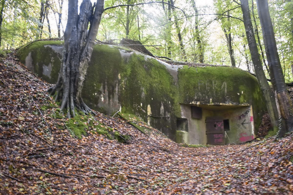 Ligne Maginot - BOIS DE KLANG - X24 (QUARTIER KLANG - III/164° RIF) - (Abri) - Entrée gauche - Daniel Froehly
