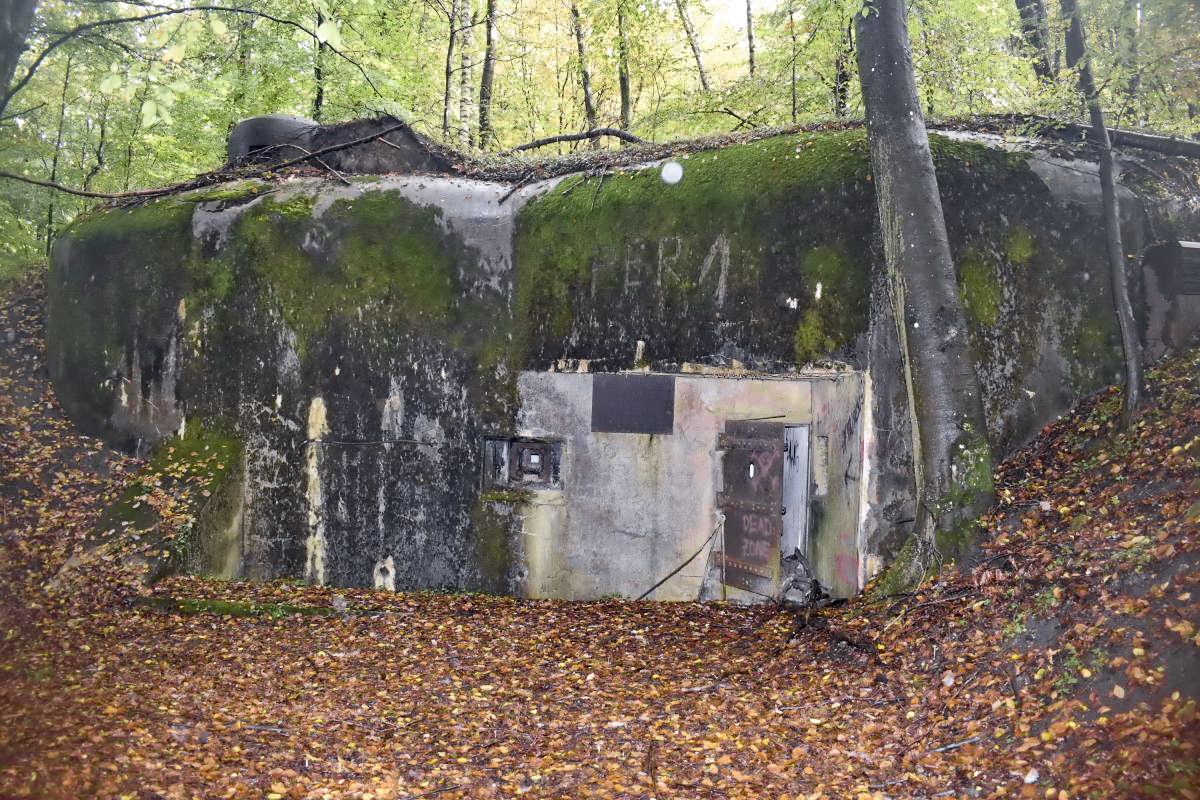 Ligne Maginot - BOIS DE KLANG - X24 (QUARTIER KLANG - III/164° RIF) - (Abri) - Entrée gauche - Daniel Froehly