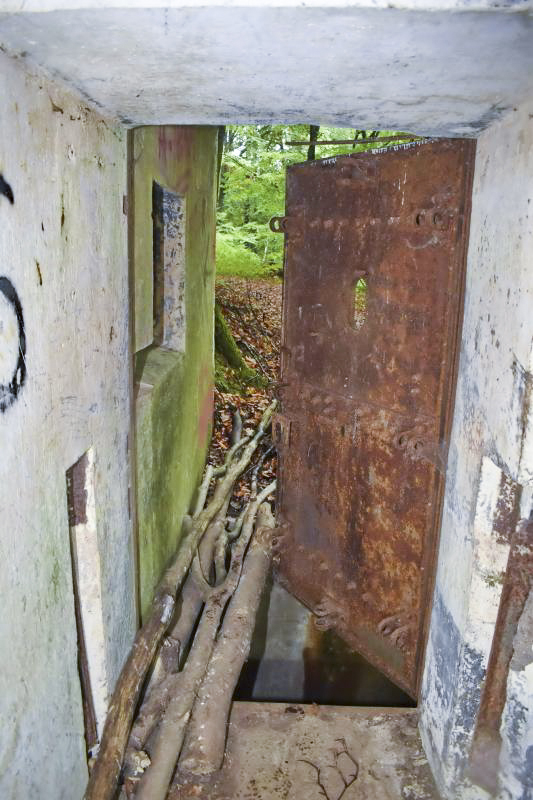 Ligne Maginot - BOIS DE KLANG - X24 (QUARTIER KLANG - III/164° RIF) - (Abri) - Entrée gauche
Entrée vue de l’intérieur  - Daniel Froehly