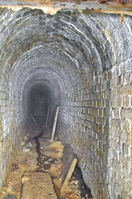 Ligne Maginot - BOIS DE KLANG - X24 (QUARTIER KLANG - III/164° RIF) - (Abri) -  Issue de secours - Daniel Froehly