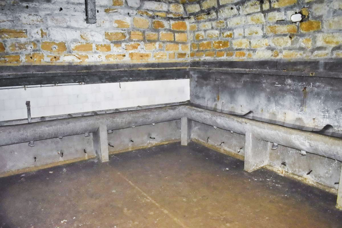 Ligne Maginot - BOIS DE KLANG - X24 (QUARTIER KLANG - III/164° RIF) - (Abri) - Lavabos - Daniel Froehly