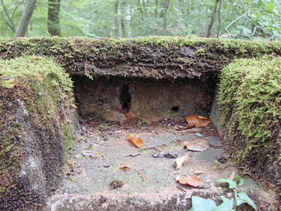 Ligne Maginot - 98M - (Chambre de coupure) - Dispositif de verrouillage de la trappe - Schnoupf