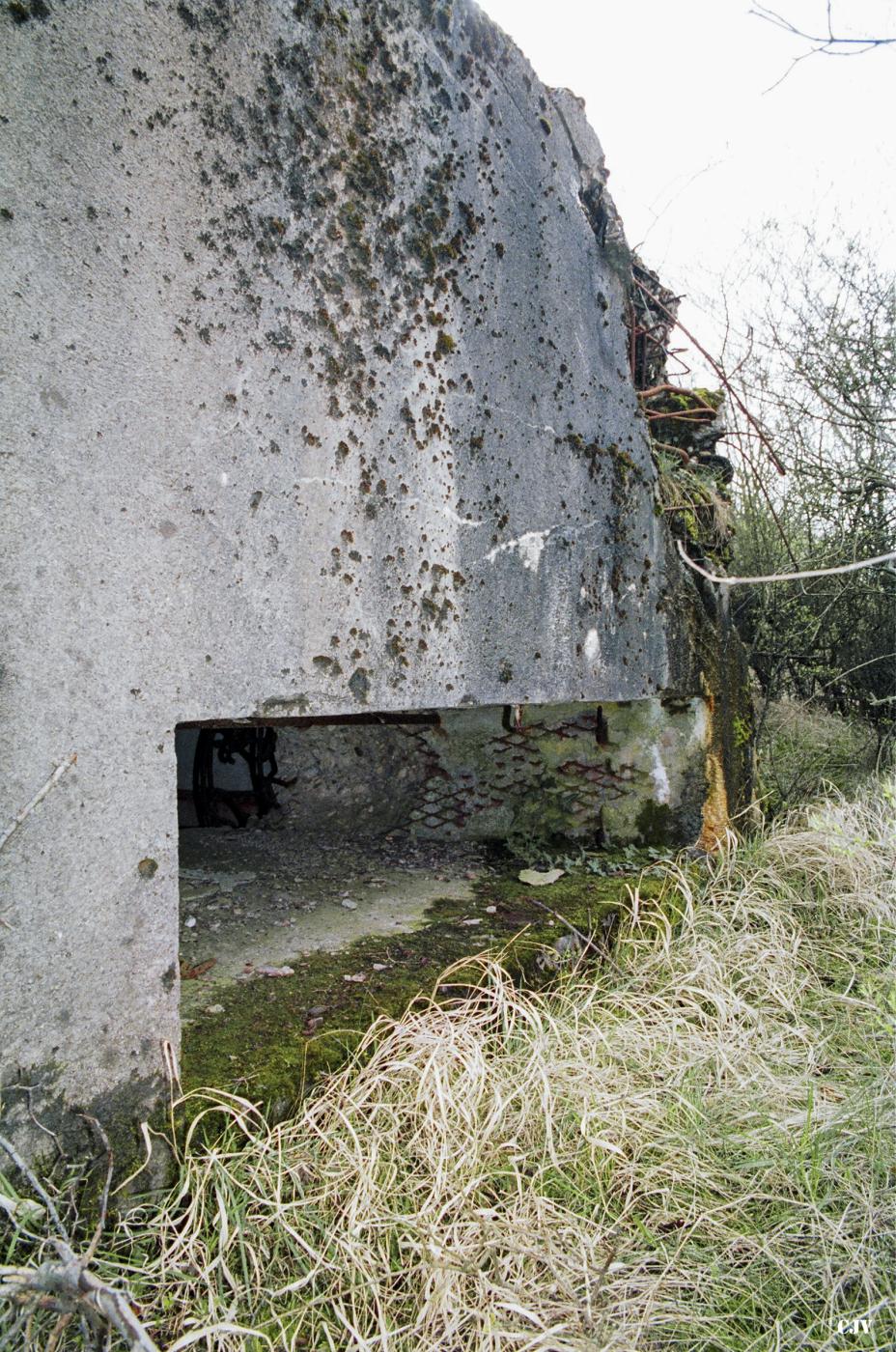 Ligne Maginot - BB11 - BOIS DE KLANG NORD - (Blockhaus pour canon) -  - Lia VERMEULEN