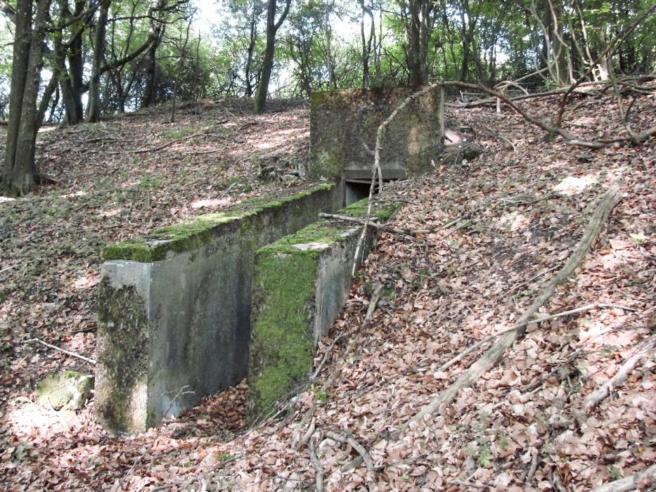 Ligne Maginot - BOIS DE KLANG (CM9 - III/164° RIF) - (PC de Sous-Quartier) - L'entrée - Schnoupf