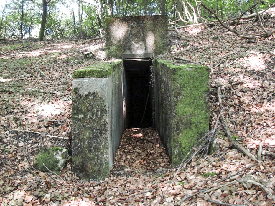 Ligne Maginot - BOIS DE KLANG (CM9 - III/164° RIF) - (PC de Sous-Quartier) - L'entrée - Schnoupf