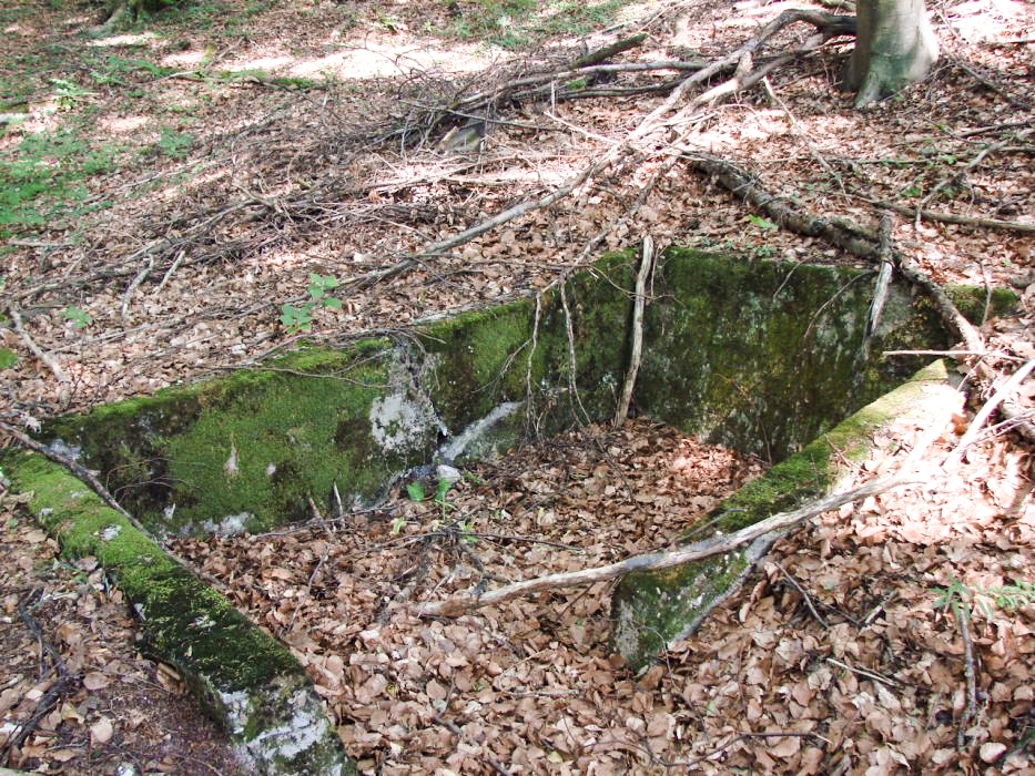 Ligne Maginot - BOIS DE KLANG (CM9 - III/164° RIF) - (PC de Sous-Quartier) - Aux alentours
La second alvéole. Elle est reliée a la première par une tranchée. - Schnoupf