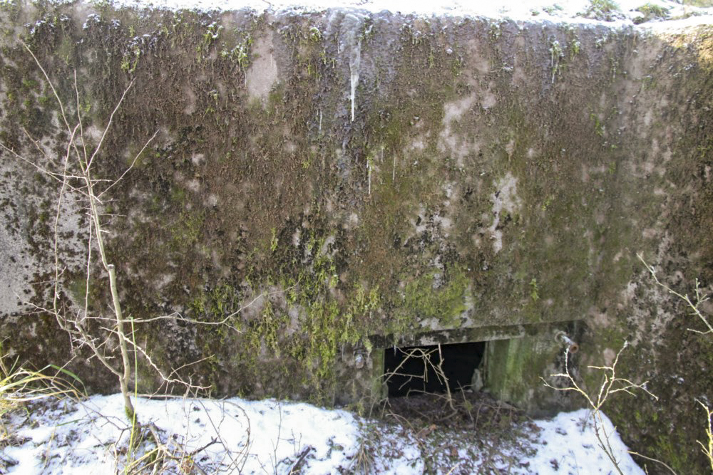 Ligne Maginot - BB366 - SPRINSEL - (Blockhaus pour arme infanterie) -    - Alain Perouffe