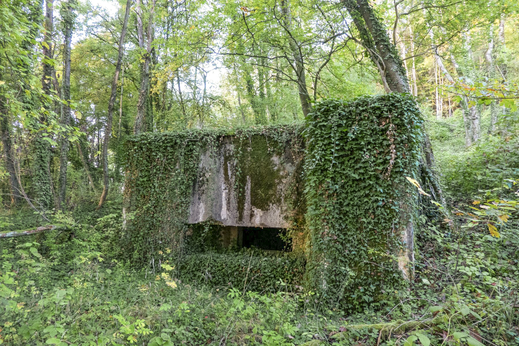 Ligne Maginot - BB365 - EICHEN 2 - (Blockhaus pour canon) -  - Michel Teiten