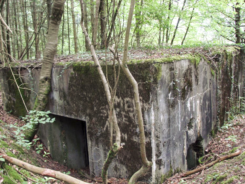 Ligne Maginot - BB365 - EICHEN 2 - (Blockhaus pour canon) - L'entrée pour la pièce se trouve sur la gauche, celle du personnel à droite du bloc - Schnoupf