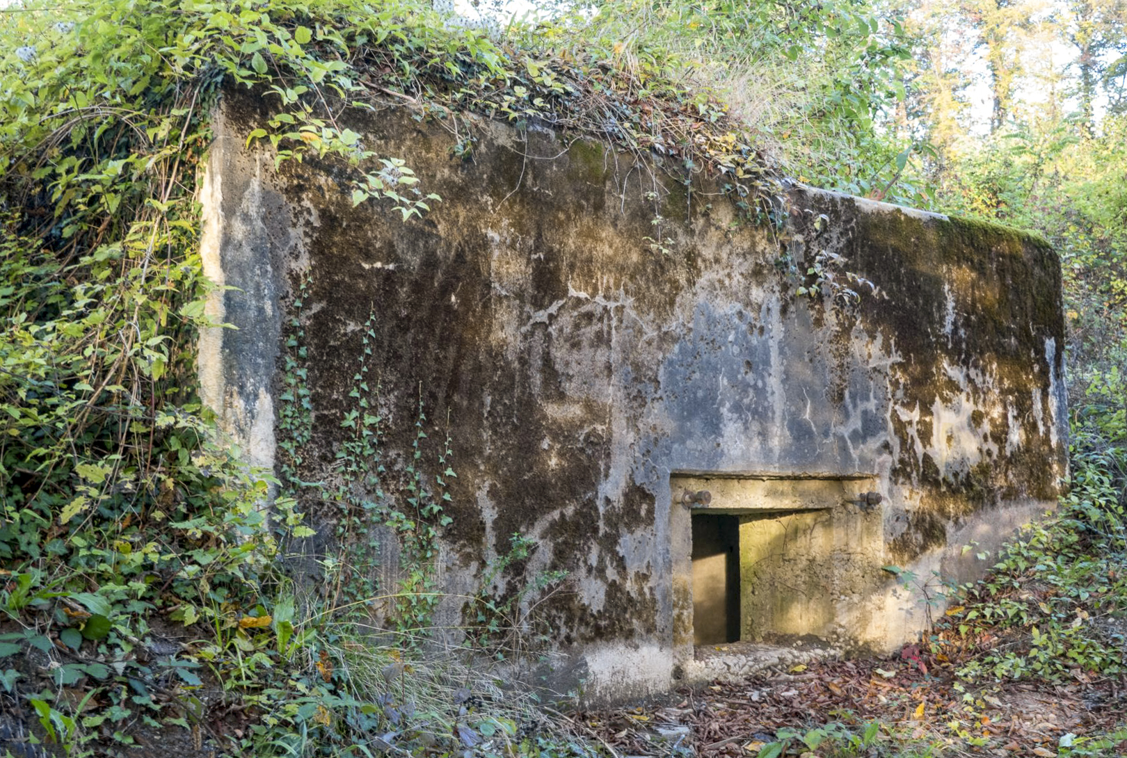 Ligne Maginot - BB367 - EICHEN 1 - (Blockhaus pour arme infanterie) -  - Michel Teiten