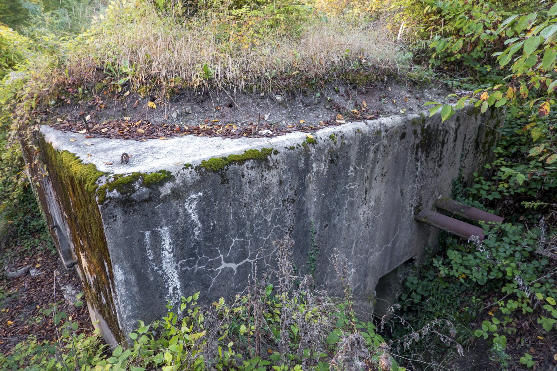 Ligne Maginot - BB367 - EICHEN 1 - (Blockhaus pour arme infanterie) - L'entrée - Michel Teiten