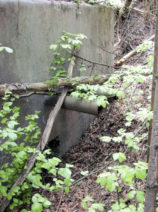 Ligne Maginot - BB367 - EICHEN 1 - (Blockhaus pour arme infanterie) - L'entrée - Schnoupf
