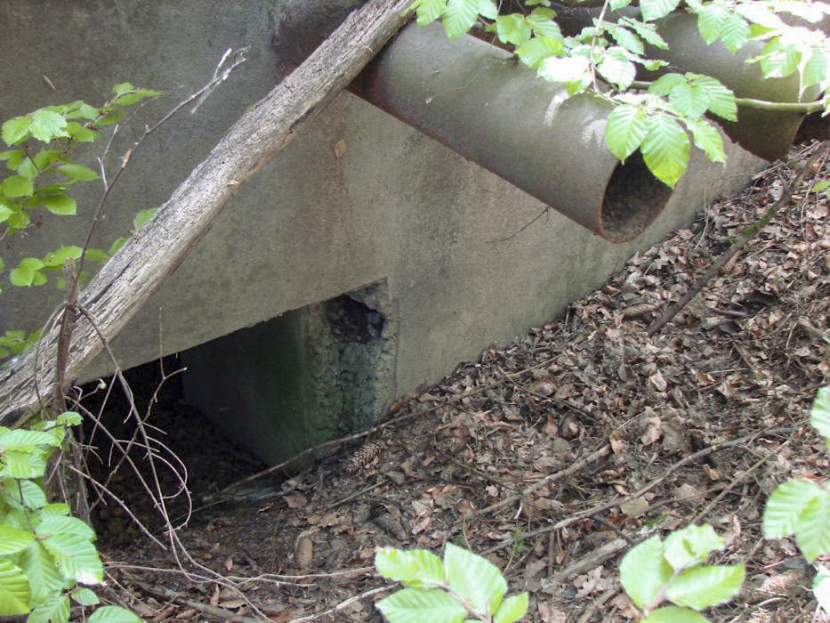Ligne Maginot - BB367 - EICHEN 1 - (Blockhaus pour arme infanterie) - L'entrée - Schnoupf