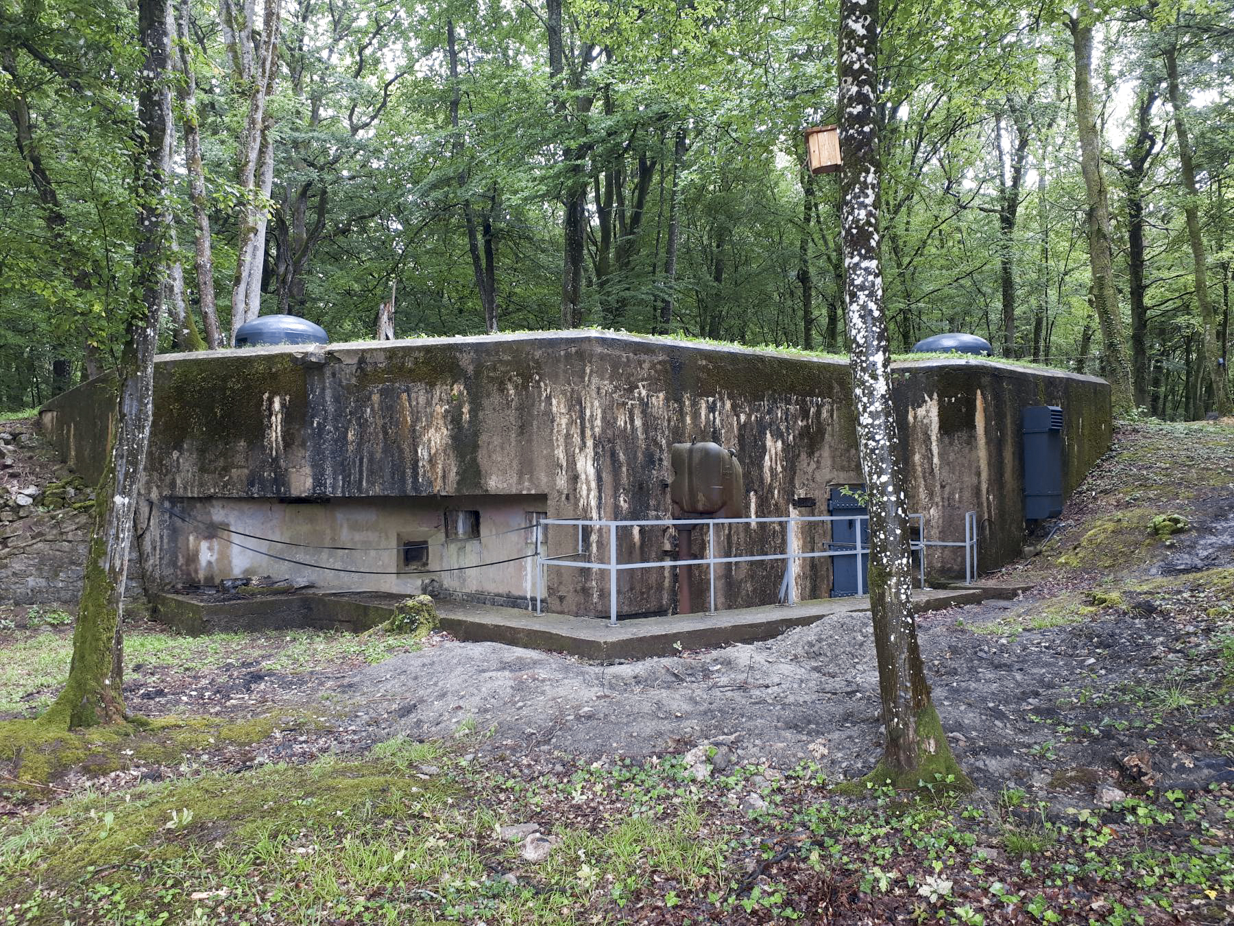 Ligne Maginot - HUBERBUSCH NORD  - C58 - (Casemate d'infanterie) -  - Gregory Fuchs