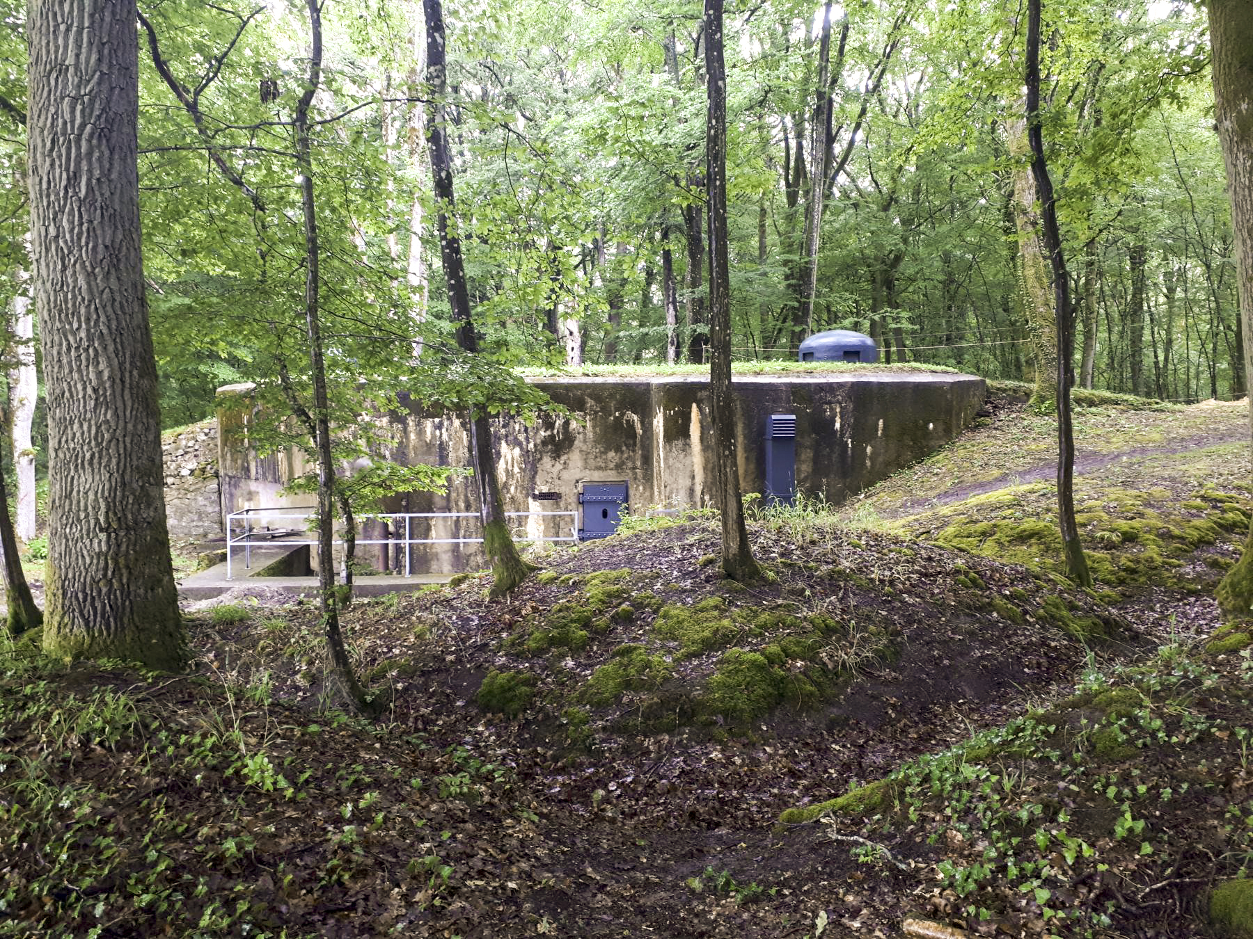 Ligne Maginot - HUBERBUSCH NORD  - C58 - (Casemate d'infanterie) - Tranchée vers l'entrée de la casemate Nord - Gregory Fuchs