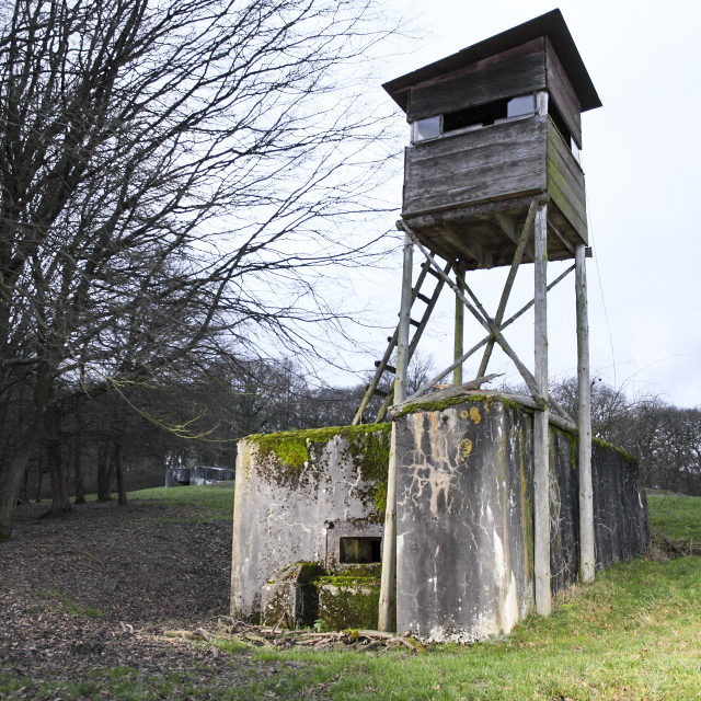 Ligne Maginot - SONNENBERG 02 - (Blockhaus pour arme infanterie) - En arrière plan, le blockhaus pour canon. - www.arnaultjl-photo.com