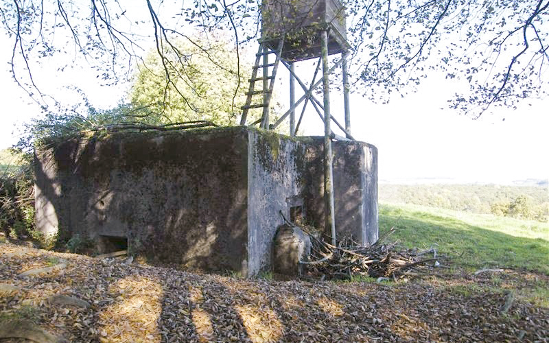 Ligne Maginot - SONNENBERG 02 - (Blockhaus pour arme infanterie) -  - Jean-Louis AUBLET & Sylvie MAINGUIN