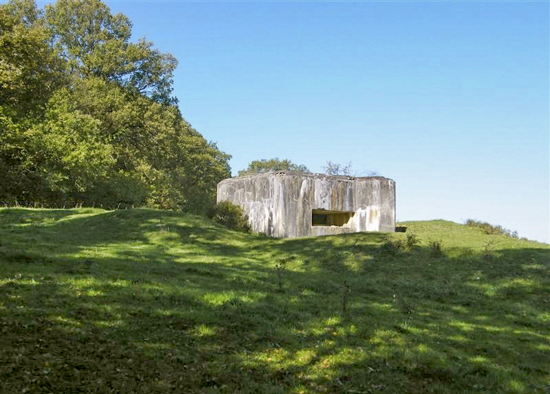 Ligne Maginot - CB116 - SONNENBERG 01 - (Blockhaus pour canon) -  - Jean-Louis AUBLET & Sylvie MAINGUIN
