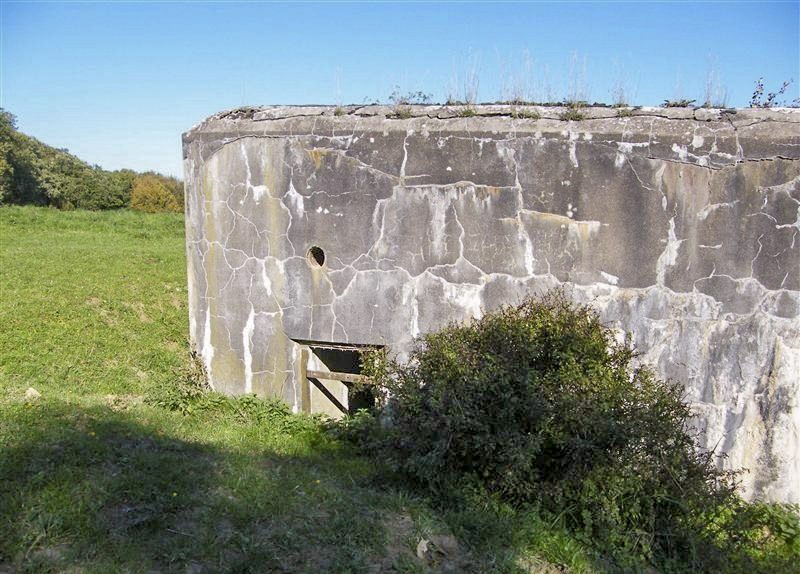 Ligne Maginot - CB116 - SONNENBERG 01 - (Blockhaus pour canon) -  - Jean-Louis AUBLET & Sylvie MAINGUIN