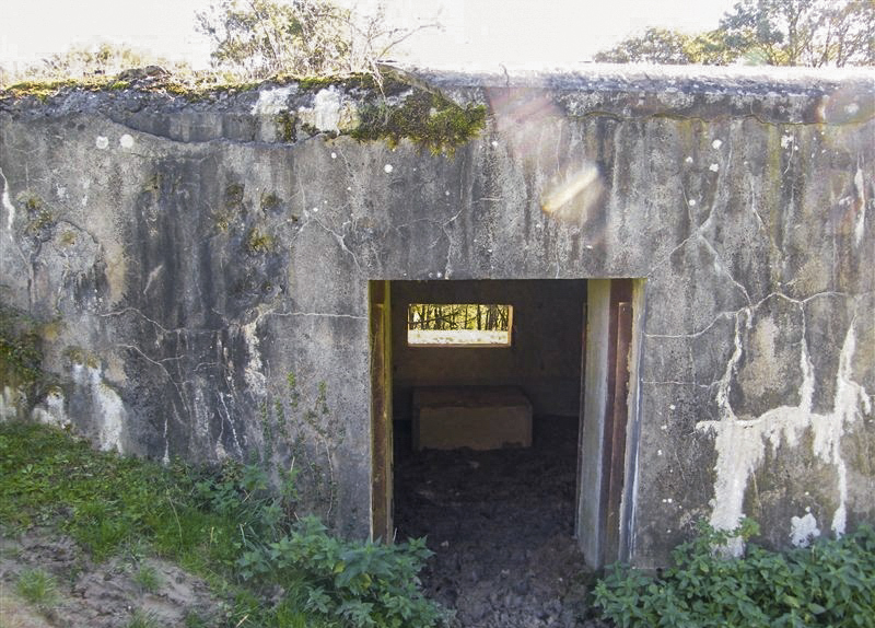 Ligne Maginot - CB116 - SONNENBERG 01 - (Blockhaus pour canon) -  - Jean-Louis AUBLET & Sylvie MAINGUIN