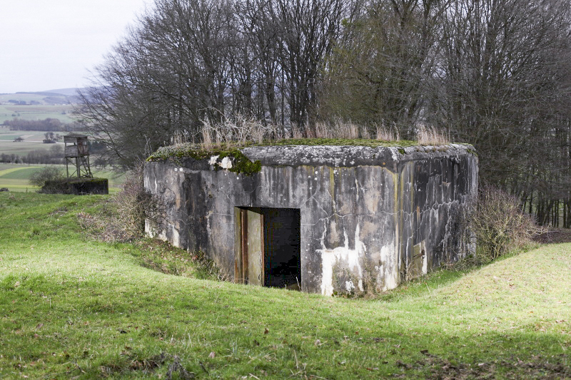 Ligne Maginot - CB116 - SONNENBERG 01 - (Blockhaus pour canon) - On distingue, en arrière plan a gauche, un blockhaus pour mitrailleuses. - www.arnaultjl-photo.com