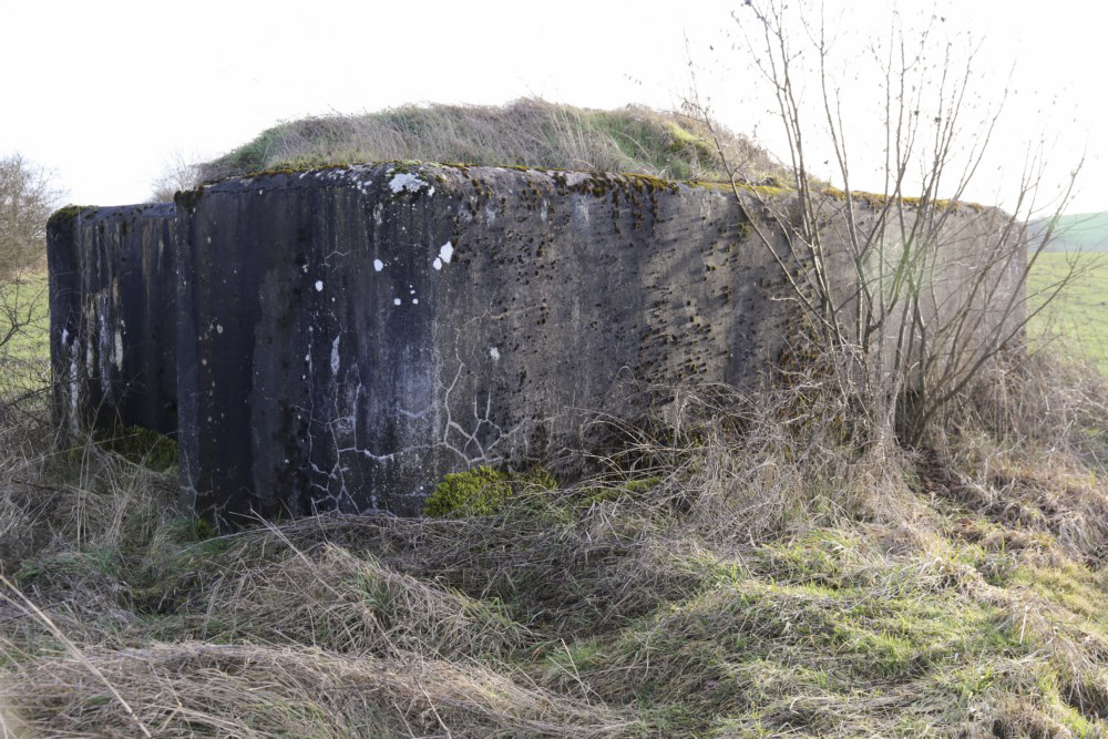Ligne Maginot - HOCHWEDEL - (Blockhaus pour arme infanterie) -        - Alain Perouffe
