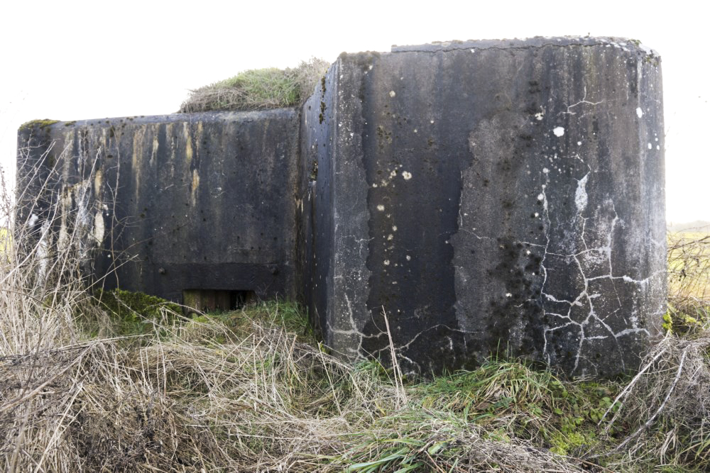 Ligne Maginot - HOCHWEDEL - (Blockhaus pour arme infanterie) -         - Alain Perouffe