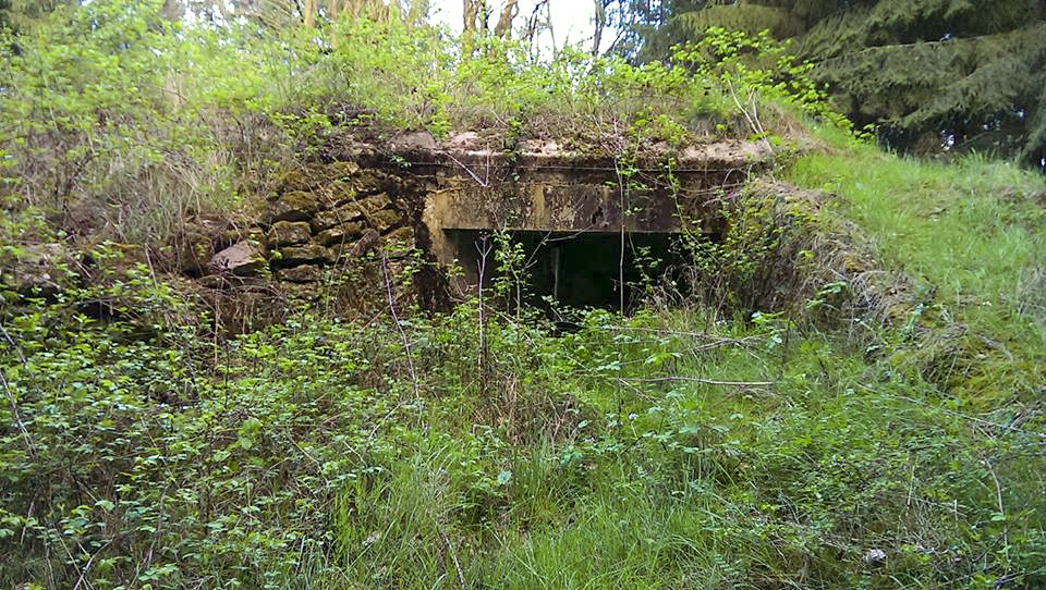 Ligne Maginot - BB7 - (Blockhaus pour canon) - Créneau pour Mitrailleuse Hotchkiss. Flanquant vers la vallée d'Ising - Gilbert Hastert