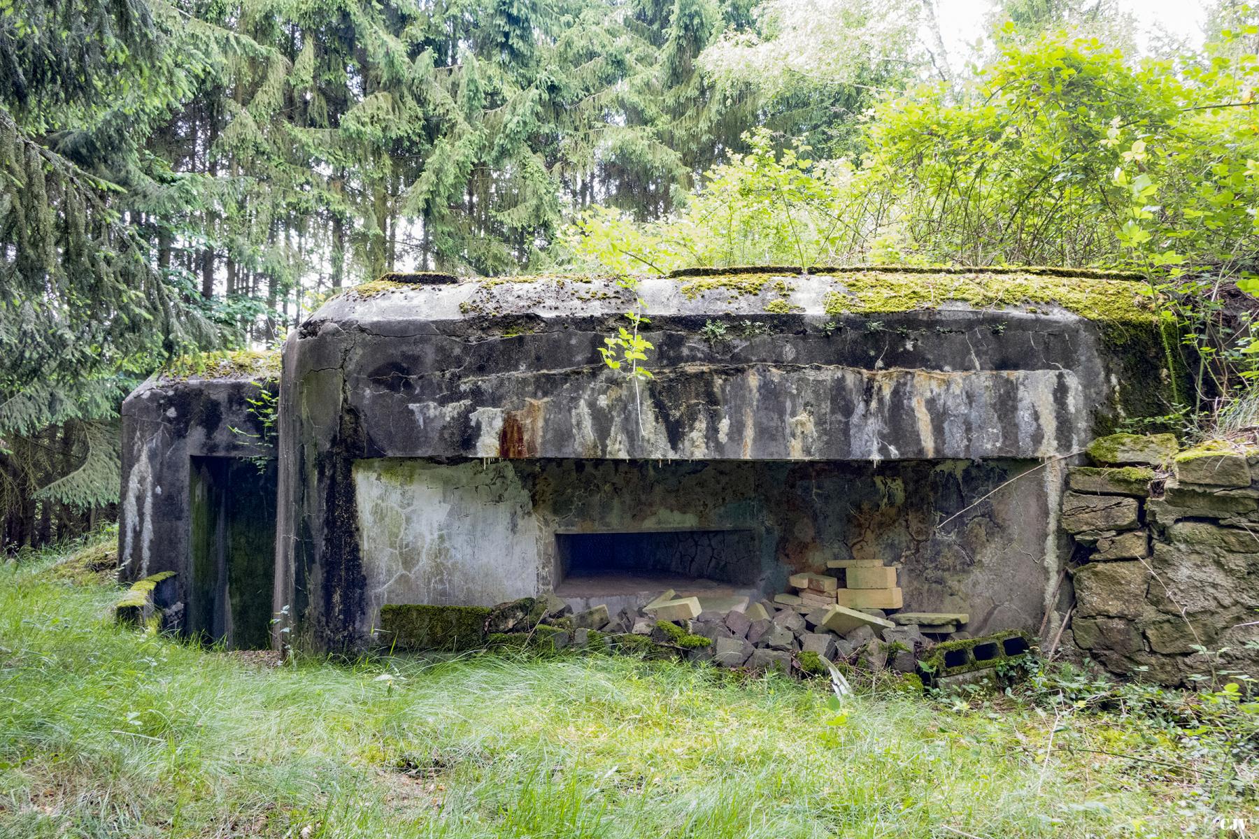 Ligne Maginot - BB7 - (Blockhaus pour canon) - La façade de tir de flanquement vers la droite - Lia VERMEULEN