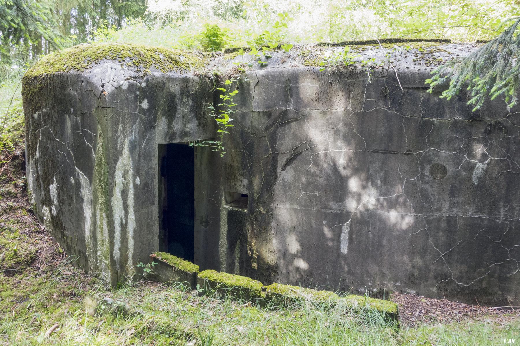 Ligne Maginot - BB7 - (Blockhaus pour canon) - L'entrée - Lia VERMEULEN