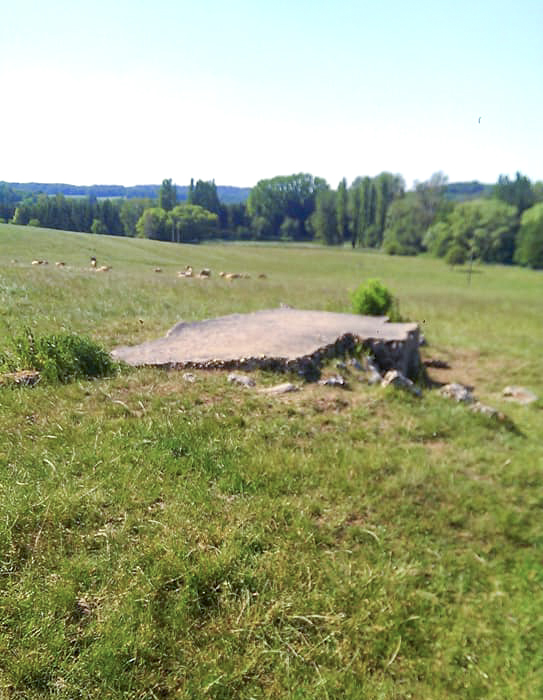 Ligne Maginot - STERNBUSCH 2 - (Blockhaus pour arme infanterie) -  - Gilbert Hastert