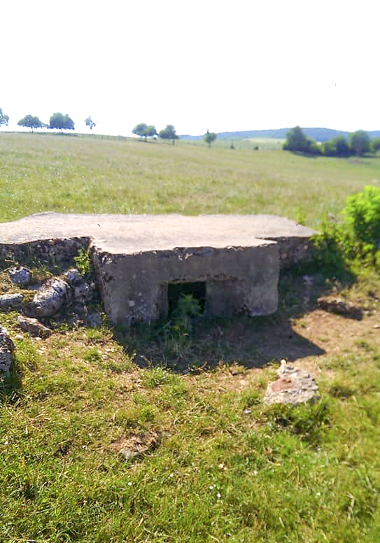 Ligne Maginot - STERNBUSCH 2 - (Blockhaus pour arme infanterie) - Blockhaus a 3 creneaux de tir pour FM ou fusil - Gilbert Hastert