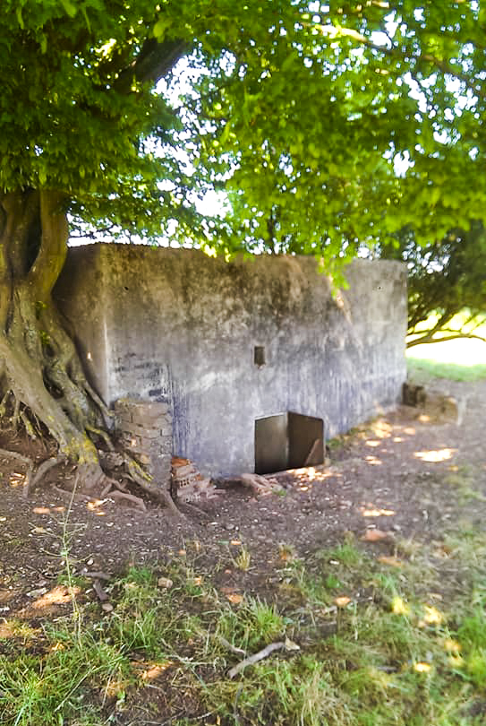 Ligne Maginot - STERNBUSCH - (Blockhaus de type indeterminé) - Blockhaus pour mitrailleuse hotchkiss qui flanque sur la valle inondable - Gilbert Hastert