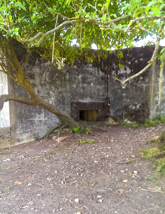 Ligne Maginot - STERNBUSCH - (Blockhaus de type indeterminé) - Vue sur le creneau - Gilbert Hastert