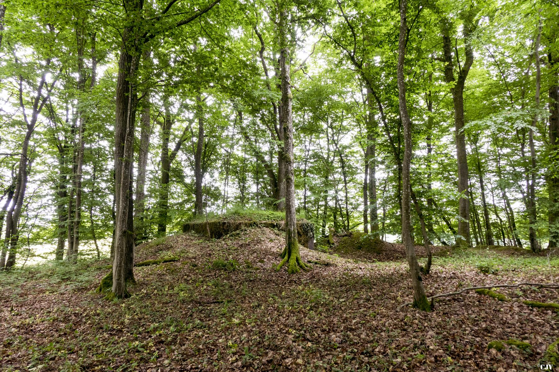 Ligne Maginot - BB321 - (Blockhaus pour arme infanterie) -  - Lia VERMEULEN