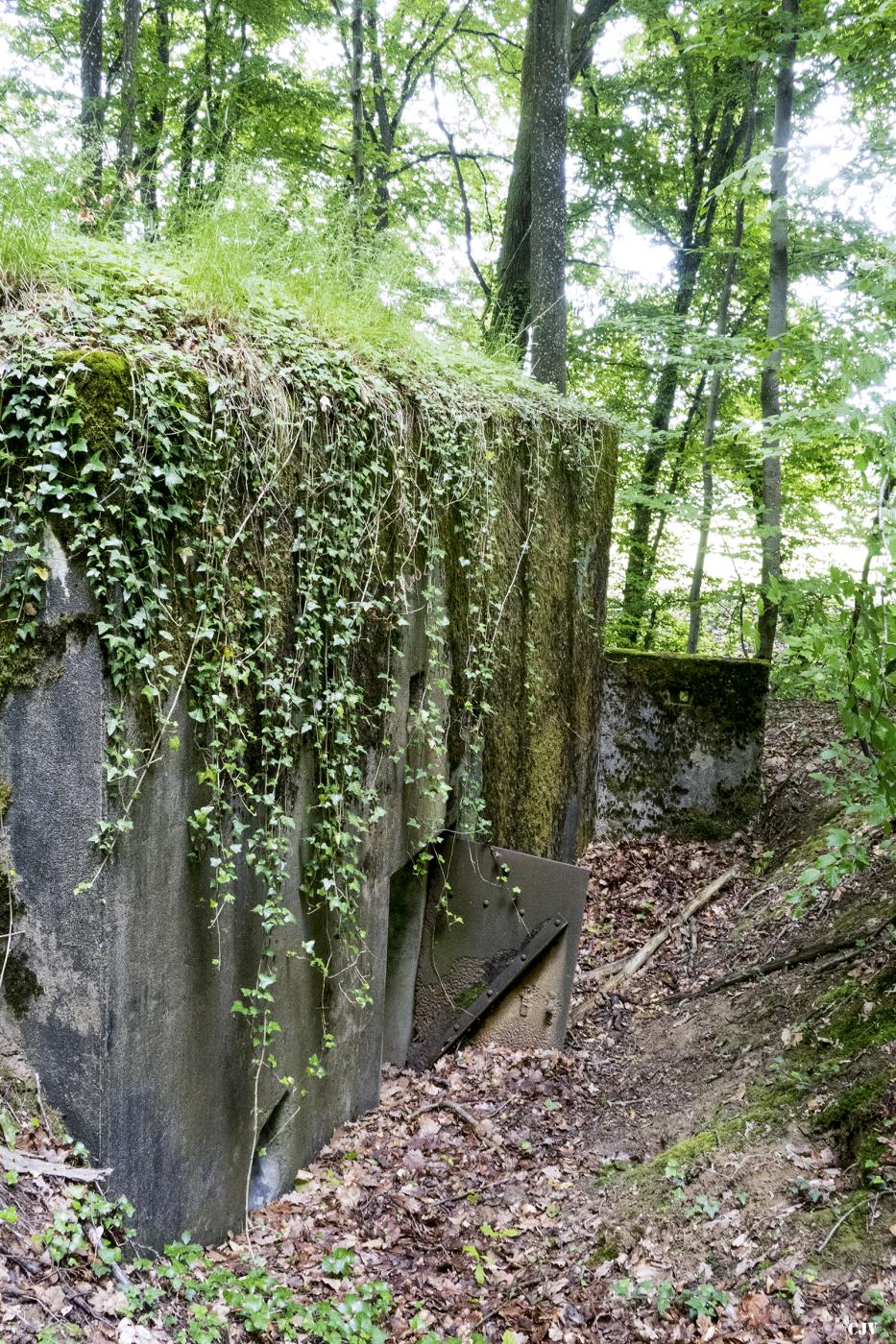 Ligne Maginot - BB321 - (Blockhaus pour arme infanterie) -  - Lia VERMEULEN