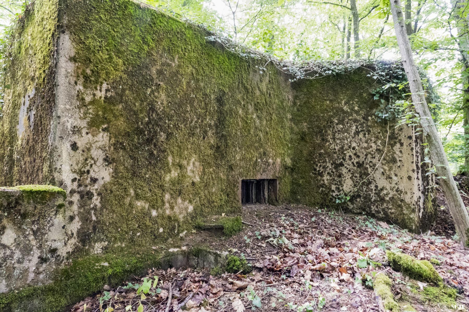 Ligne Maginot - BB321 - (Blockhaus pour arme infanterie) -  - Lia VERMEULEN