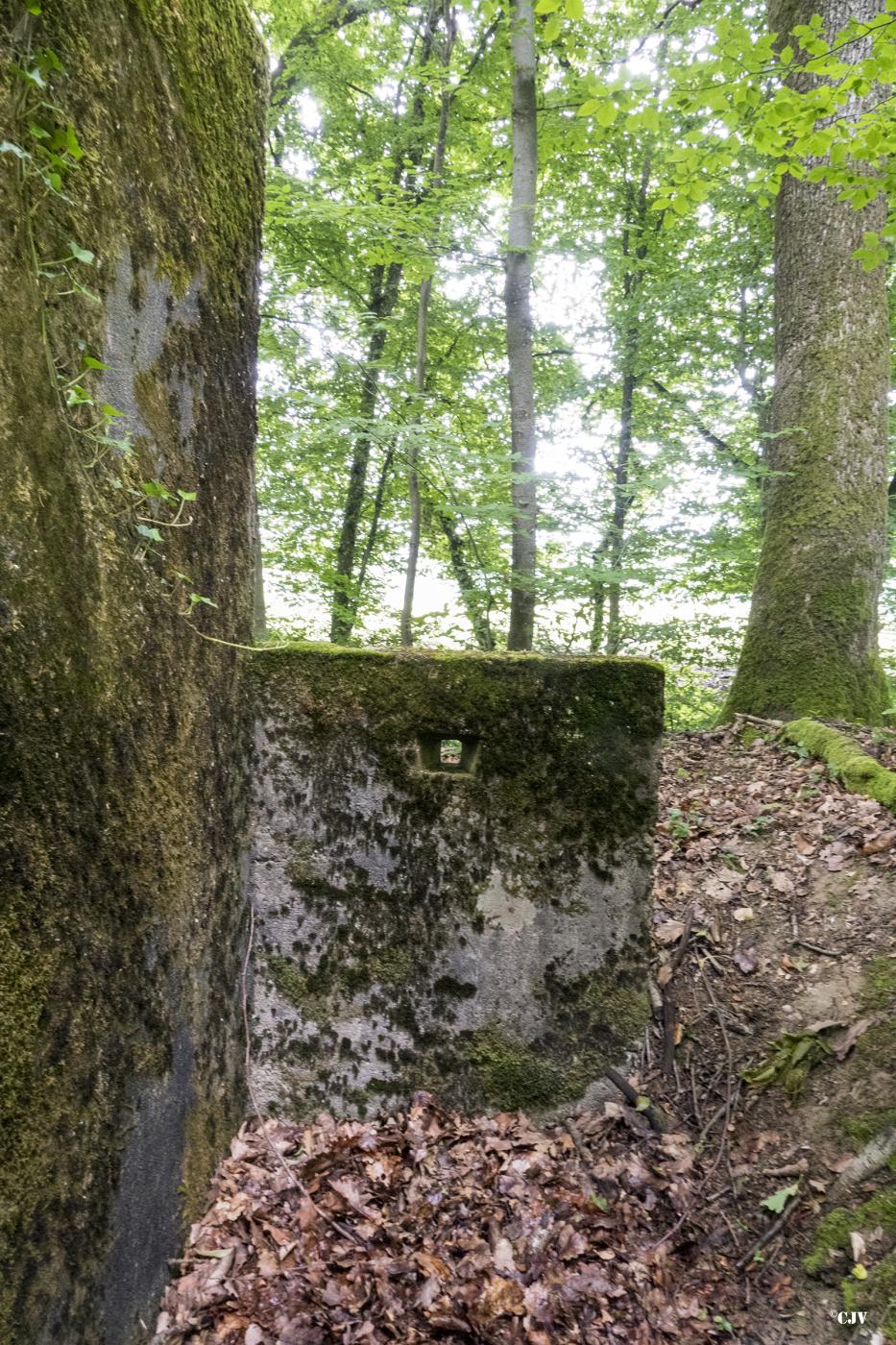 Ligne Maginot - BB321 - (Blockhaus pour arme infanterie) -  - Lia VERMEULEN