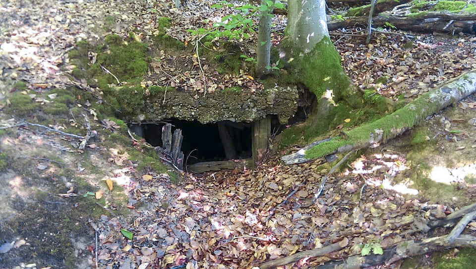 Ligne Maginot - PFAFFENKLAUSERBUSCH - (Abri) - Entrée de l'abri - Gilbert Hastert
