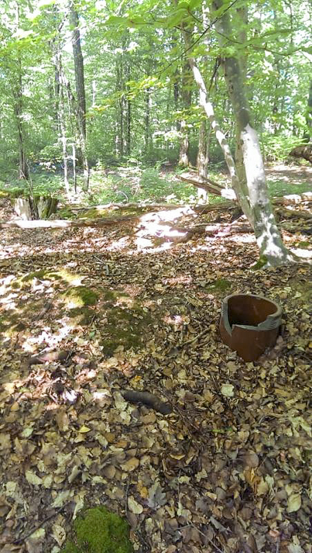 Ligne Maginot - PFAFFENKLAUSERBUSCH - (Abri) - Cheminée de l'abri - Gilbert Hastert