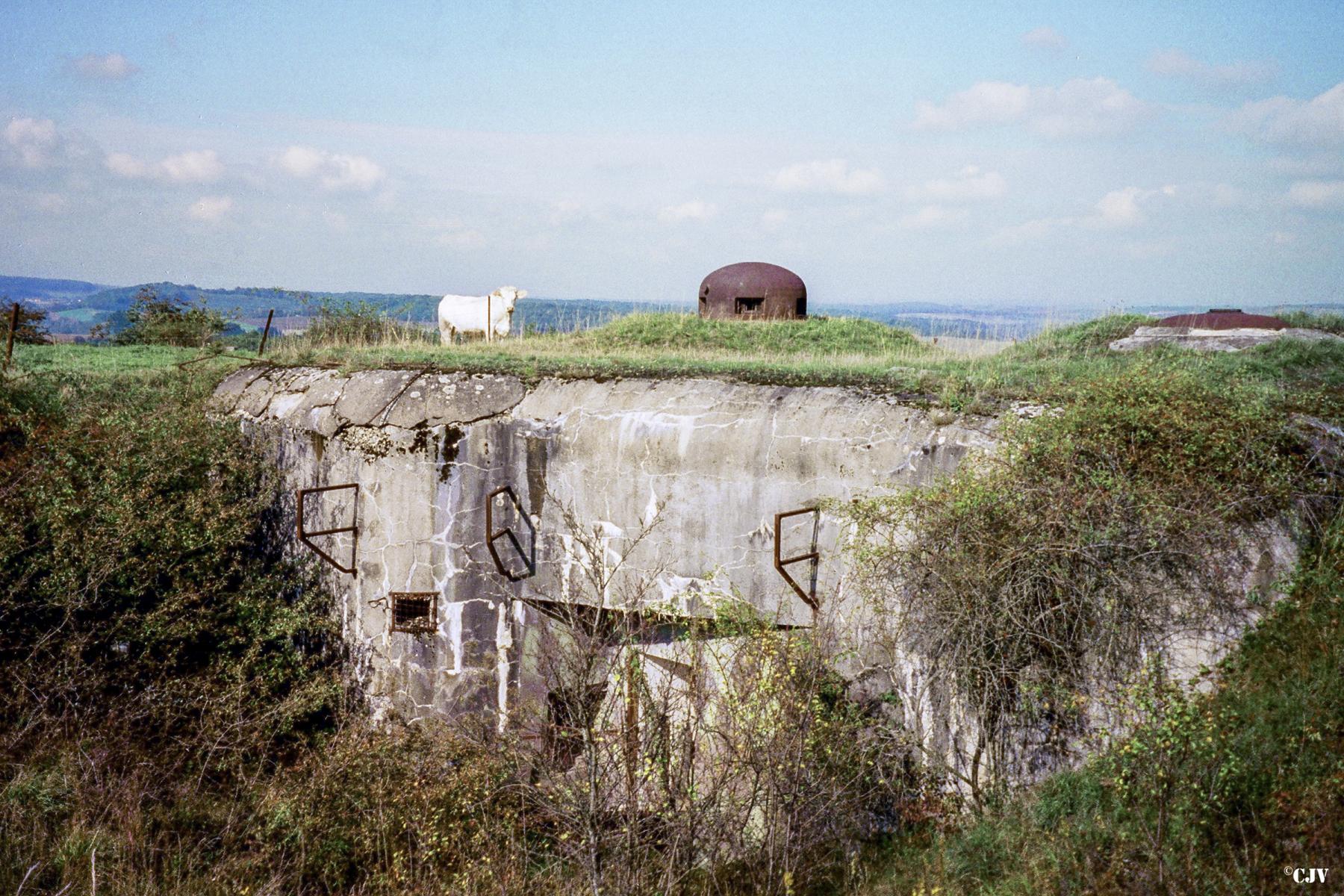 Ligne Maginot - HESTROFF - O10 - (Observatoire d'artillerie) -  - Lia VERMEULEN