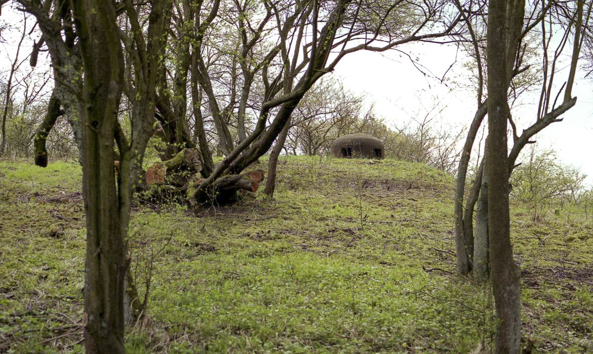 Ligne Maginot - LANGHEP NORD - C63 - (Casemate d'infanterie - Simple) -   - Valentin Hemmert