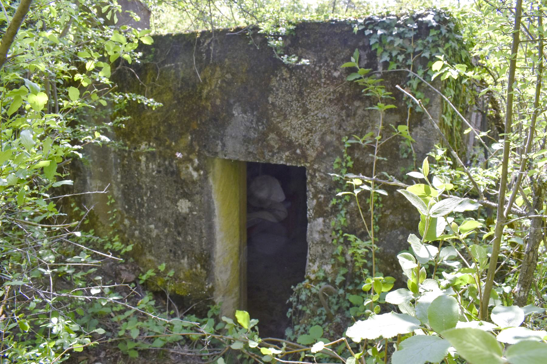 Ligne Maginot - BOIS DE DESSENHEIM SUD-OUEST 6 - (PC) - Entrée de la salle Nord - Daniel Froehly