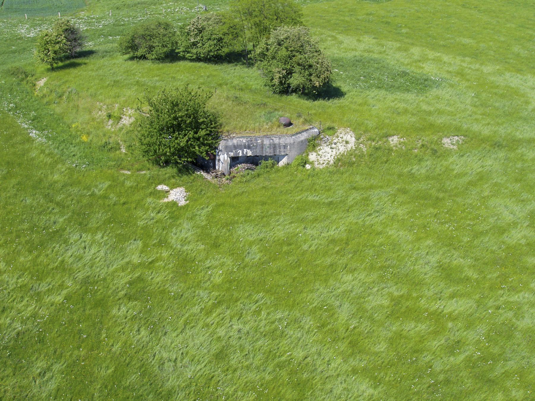 Ligne Maginot - BISTERBERG NORD II - C66 - (Casemate d'infanterie - Simple) - Vue générale de la casemate - BlackMamba73