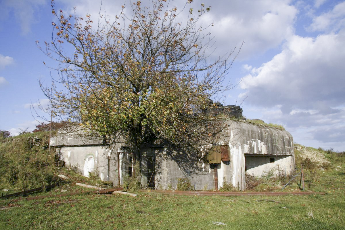 Ligne Maginot - BISTERBERG NORD II - C66 - (Casemate d'infanterie - Simple) - Vue d'ensemble - Valentin Hemmert