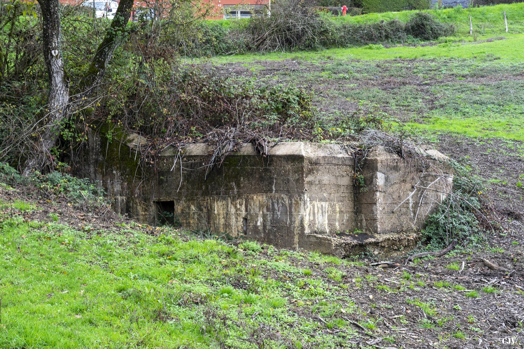 Ligne Maginot - BC3 - FREIHAUSER - (Chambre de coupure) -  - Lia VERMEULEN