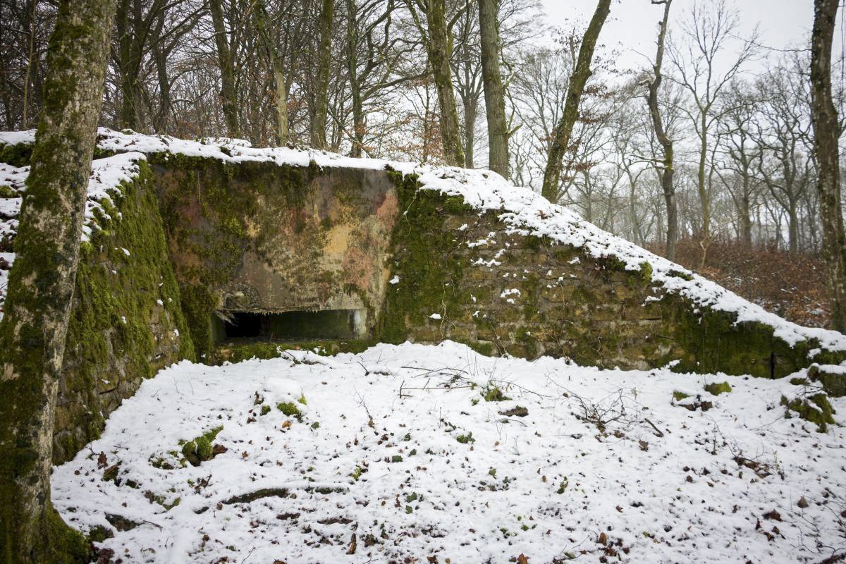 Ligne Maginot - BB9 - (Blockhaus pour arme infanterie) - Embrasure frontale et camouflage - Fré Do
