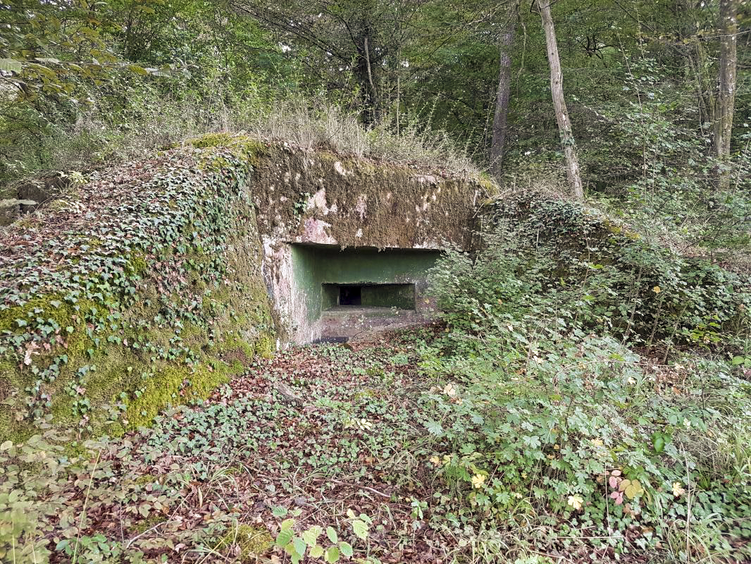 Ligne Maginot - BB9 - (Blockhaus pour arme infanterie) -  - ELLENA - CUNY