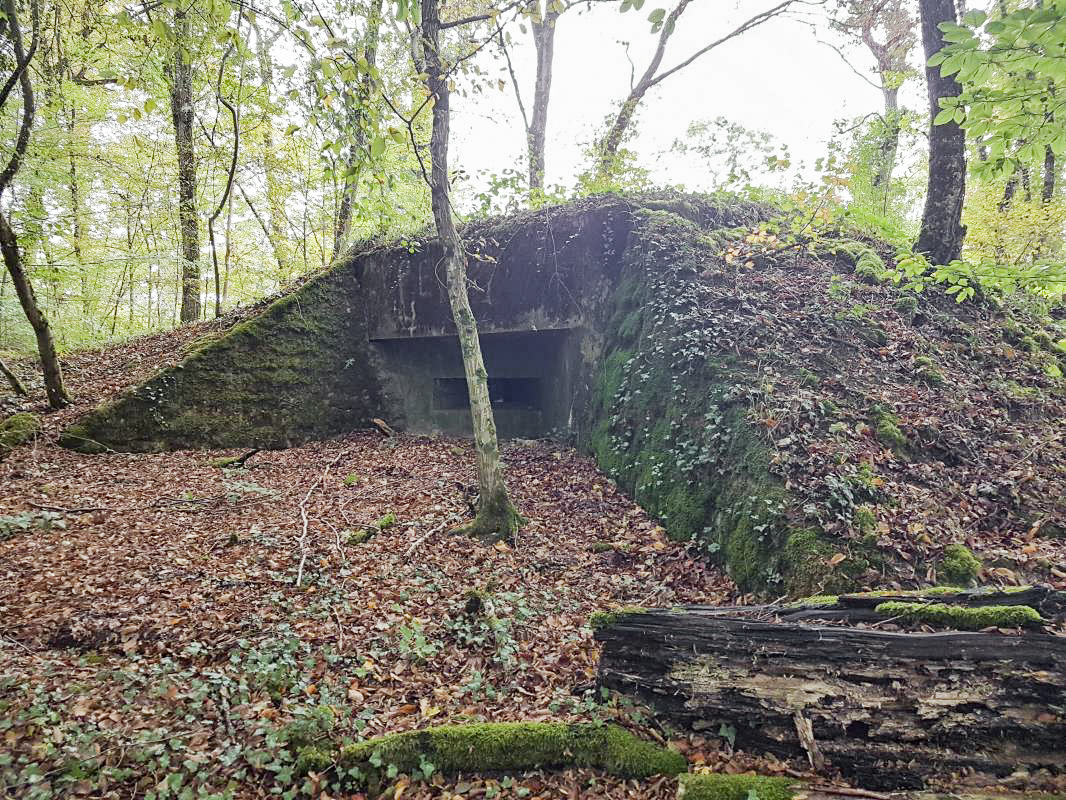 Ligne Maginot - BB9 - (Blockhaus pour arme infanterie) -  - ELLENA - CUNY