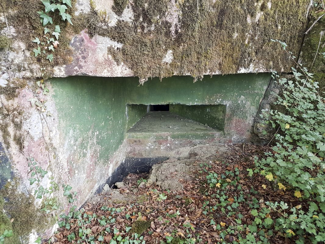 Ligne Maginot - BB9 - (Blockhaus pour arme infanterie) -  - ELLENA - CUNY